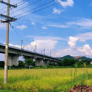 【孤獨(dú)絮語(yǔ)】火車