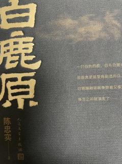 白鹿原 第196-197页