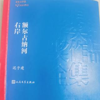 额尔古纳河右岸中部正午31.