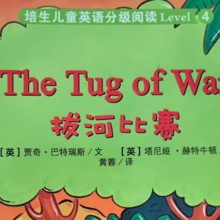 the Tug of War