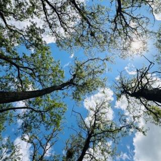 《人本教练》———挖掘愿景