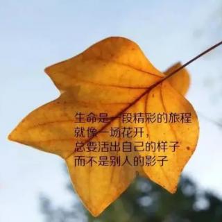 《是的，我爱上了一个人》-余秀华