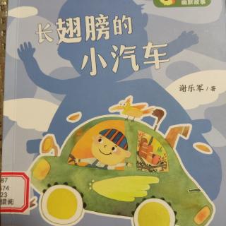 长翅膀的小汽车~魔力汽车