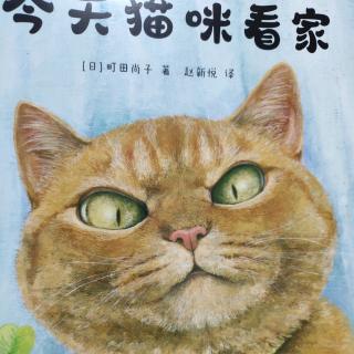 《 猫咪看家》一本新书