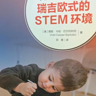 《为幼儿创设瑞吉欧式的steam环境》11-26页