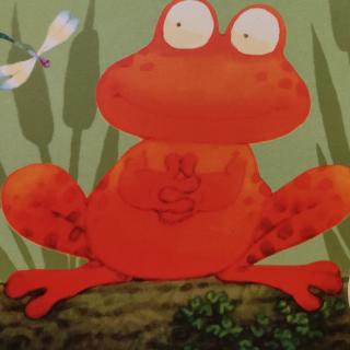 USBORNE  PHONICS  READERS——FROG  ON  A  LOG