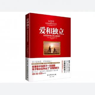 33、第10章  指引孩子长大成人（6）