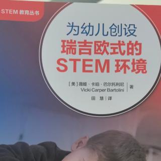 《为幼儿创设瑞吉欧式的STEM环境》99-107