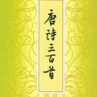 《唐诗三百首》第01首《感遇十二首·其一》作者：张九龄；朗读：篁竹瑾