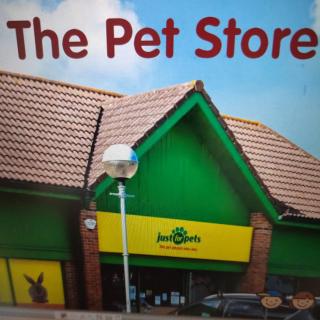 26 海尼曼GK The pet store