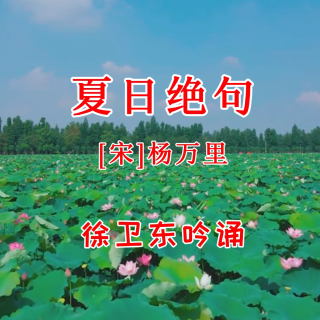 徐卫东配乐吟诵《夏日绝句》（杨万里）