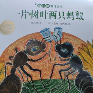 一片树叶两只蚂蚁🐜