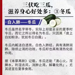 爱中医早报～三伏吃三瓜，滋养身心好处多