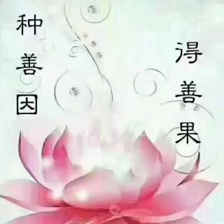 《弟子规》第一讲:人生最难的不是奋斗，而是抉择