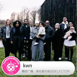 kwn·糖蒜爱音乐之The Selector