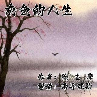 《灰色的人生》雨弄弦韵