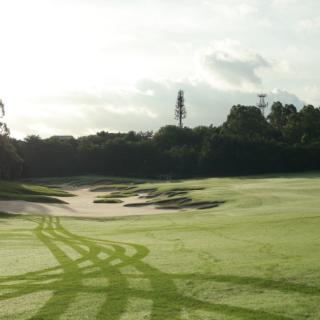 908【Golf赛】2024.7.16