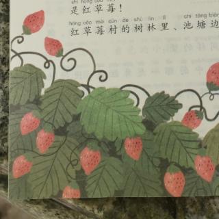 快乐读书吧《孤独的小螃蟹之红草莓🍓重现》