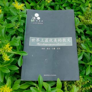 《带上三句话上路》/作者李小刀