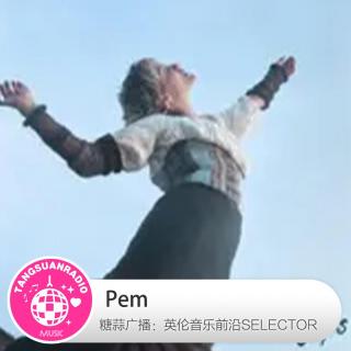 Pem·糖蒜爱音乐之The Selector