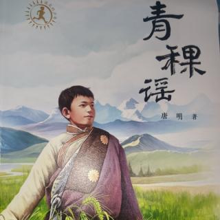 《青稞谣》