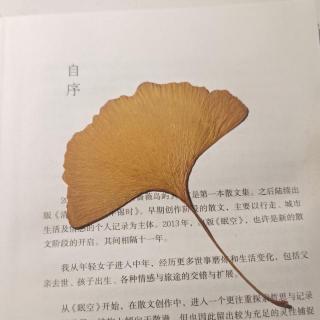 《一切境》曙光微起，安静极了1