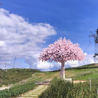 株洲市住建读书会晨读2327期:光明的追求者