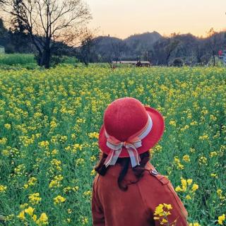 《地之子》李广田金色大地