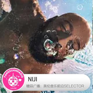 NIJI·糖蒜爱音乐之The Selector