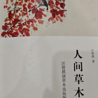 《晚饭花集》自序