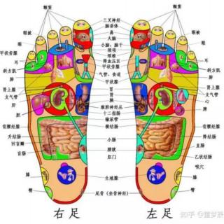 肺有痰有饮证用方