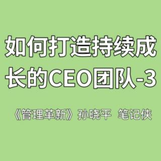 如何打造持续成长的CEO团队-3