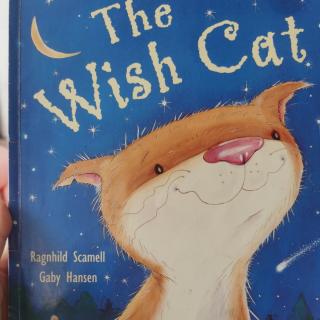 The wish cat