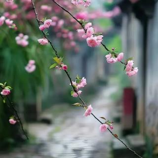 任聪慧《夏末读雨》