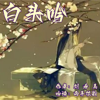 《白头吟》雨弄弦韵