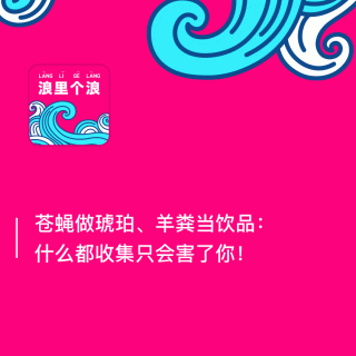 50、苍蝇做琥珀、羊粪当饮品：什么都收集只会害了你！