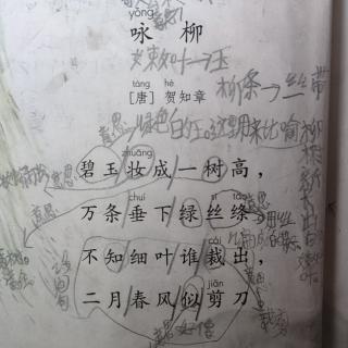 课文默写2《咏柳》