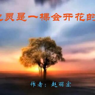 《心灵是一棵会开花的树》作者：赵丽宏 诵读：大连伙计