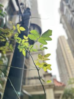 你在花里，如花在风中