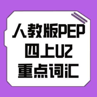 校内英语预习精讲精练-人教版PEP四上U2词汇【跟读录音】