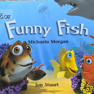 Big cat-Funny Fish