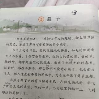 课文默写8《燕子》