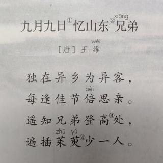 课文默写11《九月九日忆山东兄弟》