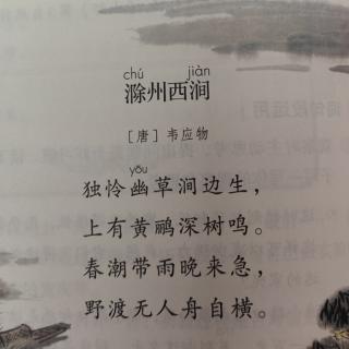 课文默写14《滁州西涧》