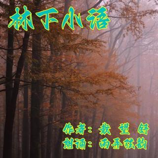 《林下小语》雨弄弦韵