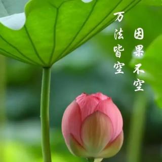 花生~长生果