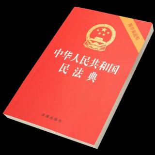 巾帼读书会《民法典》草案说明 一至三（金梅）