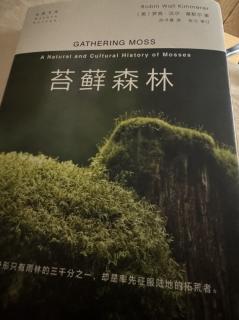 《苔藓森林》前言