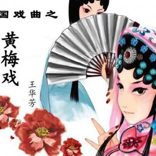 戏曲【黄梅戏】【谁料皇榜中状元】雪蓉蓉唱戏