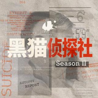 S2E35. 血色海洛因复仇记：A省缉毒卧底一线实录